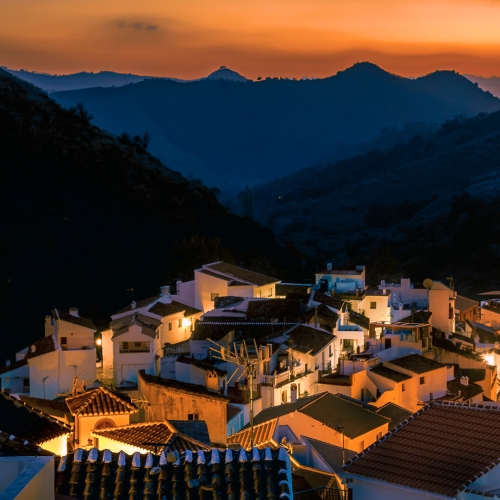 shutterstock 1889692507 - Salares