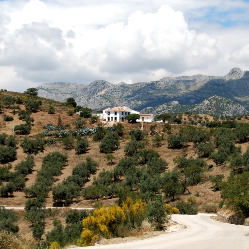 shutterstock 98537417 - Periana