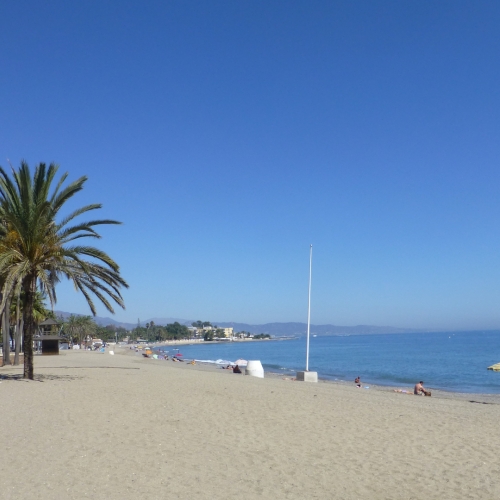 shutterstock 1387380902 - San Pedro Alcantara