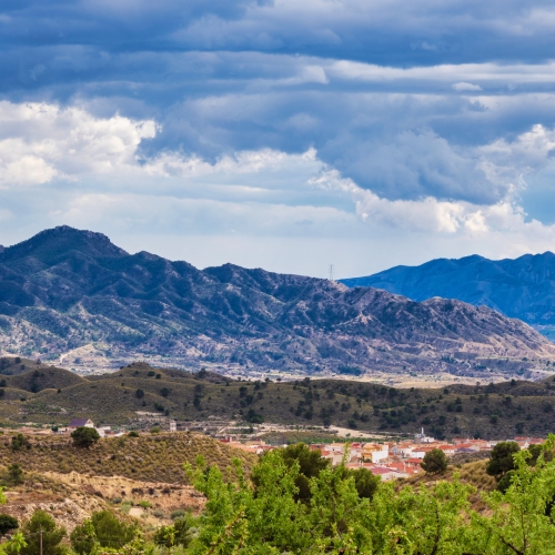 shutterstock 1501269110