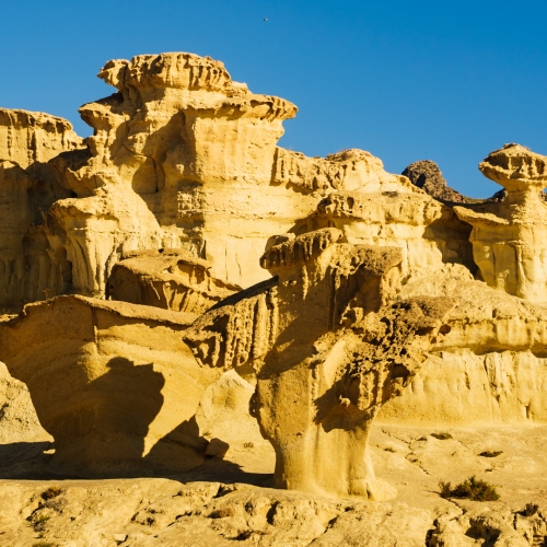 shutterstock 1874751154 - Bolnuevo