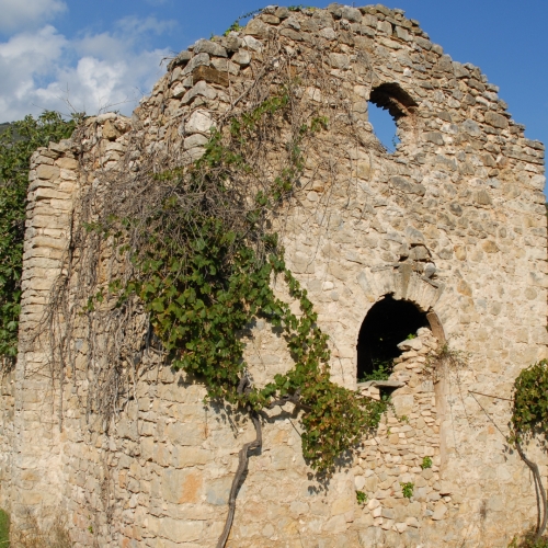 shutterstock 2093645455