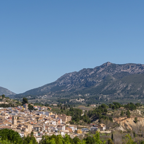 shutterstock 2142066453 - Bolulla