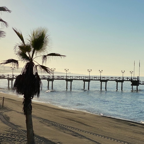 shutterstock 2046681998