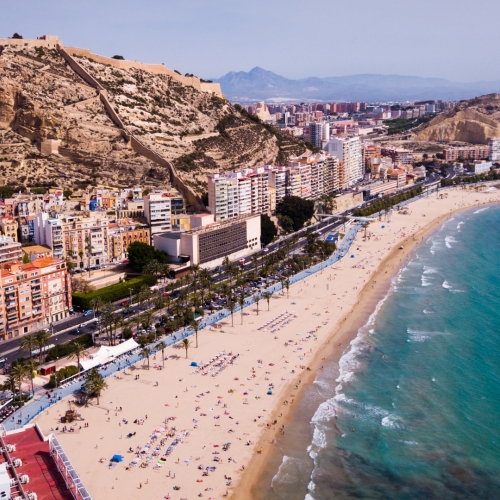 shutterstock 2141325751