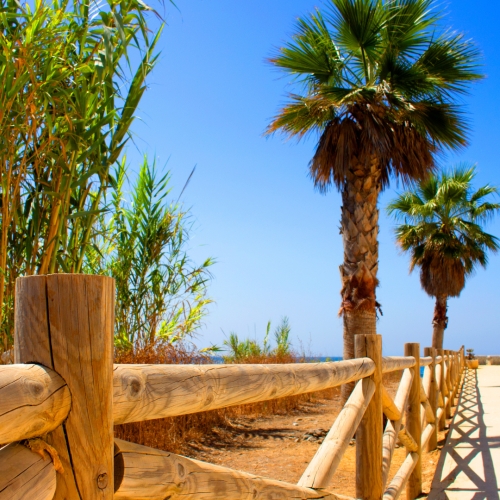 shutterstock 682504561 - San Pedro Alcántara