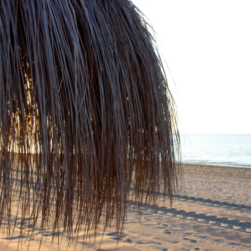 shutterstock 708972760