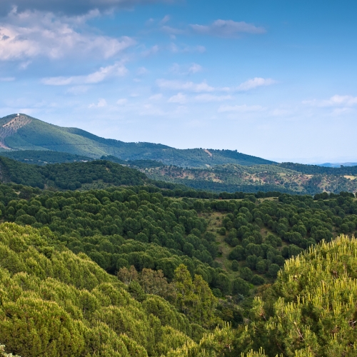 shutterstock 88461952